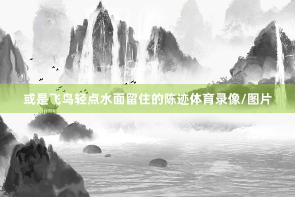 或是飞鸟轻点水面留住的陈迹体育录像/图片