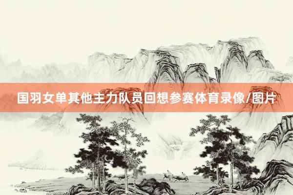 国羽女单其他主力队员回想参赛体育录像/图片