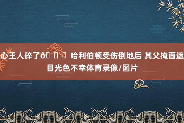心王人碎了💔哈利伯顿受伤倒地后 其父掩面遮目光色不幸体育录像/图片