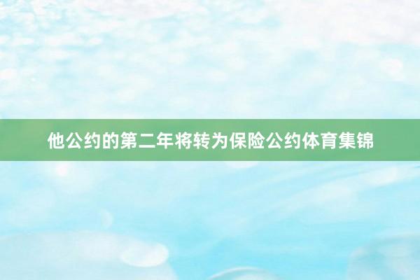 他公约的第二年将转为保险公约体育集锦