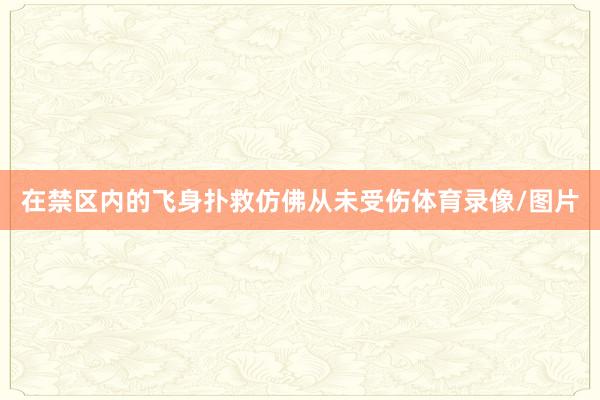 在禁区内的飞身扑救仿佛从未受伤体育录像/图片