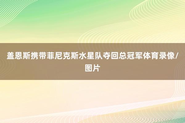 盖恩斯携带菲尼克斯水星队夺回总冠军体育录像/图片