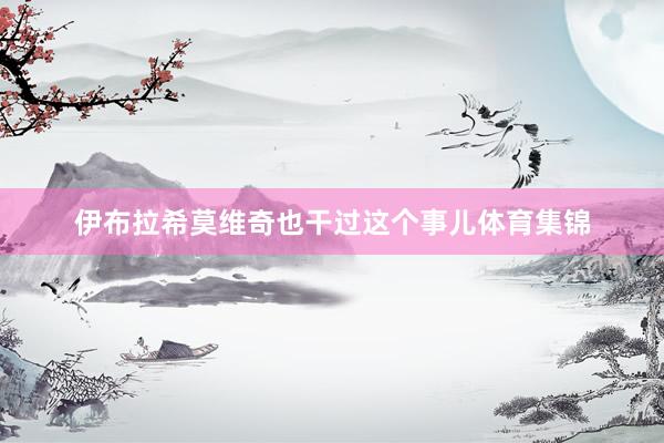 伊布拉希莫维奇也干过这个事儿体育集锦