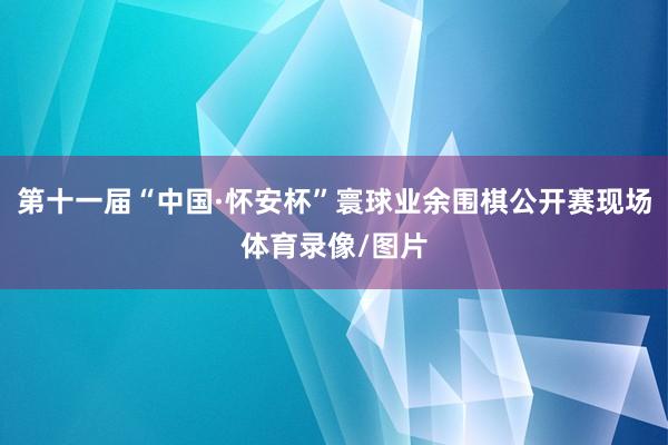 第十一届“中国·怀安杯”寰球业余围棋公开赛现场体育录像/图片