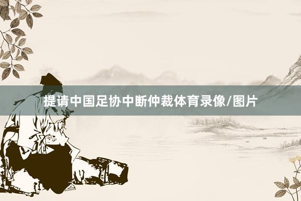 提请中国足协中断仲裁体育录像/图片