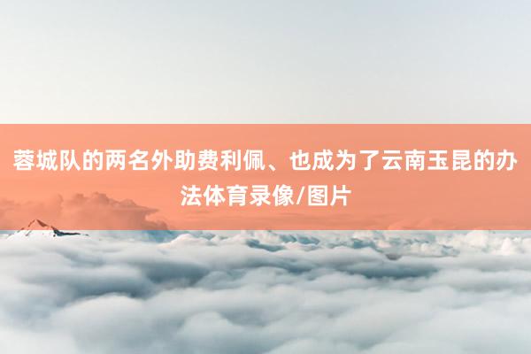 蓉城队的两名外助费利佩、也成为了云南玉昆的办法体育录像/图片