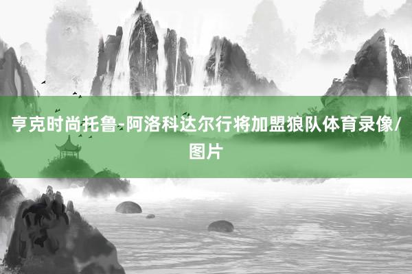 亨克时尚托鲁-阿洛科达尔行将加盟狼队体育录像/图片