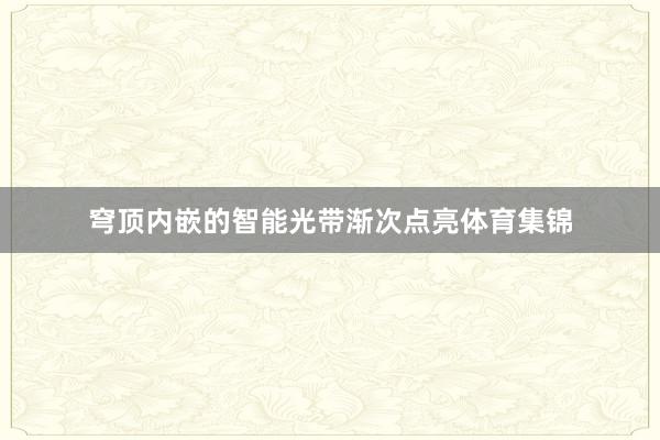 穹顶内嵌的智能光带渐次点亮体育集锦