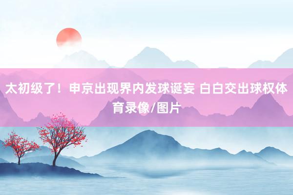 太初级了！申京出现界内发球诞妄 白白交出球权体育录像/图片