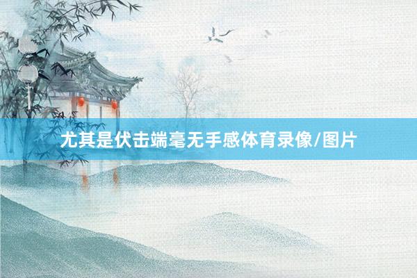 尤其是伏击端毫无手感体育录像/图片
