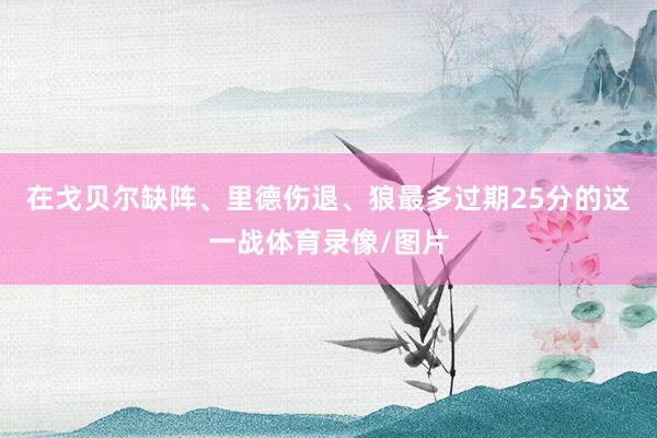 在戈贝尔缺阵、里德伤退、狼最多过期25分的这一战体育录像/图片