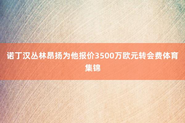 诺丁汉丛林昂扬为他报价3500万欧元转会费体育集锦