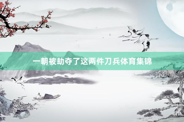 一朝被劫夺了这两件刀兵体育集锦