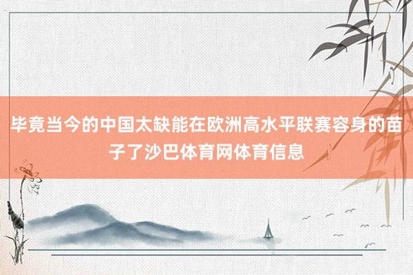 毕竟当今的中国太缺能在欧洲高水平联赛容身的苗子了沙巴体育网体育信息