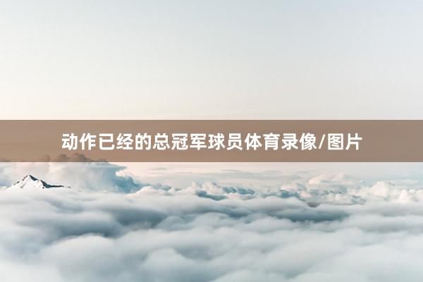 动作已经的总冠军球员体育录像/图片