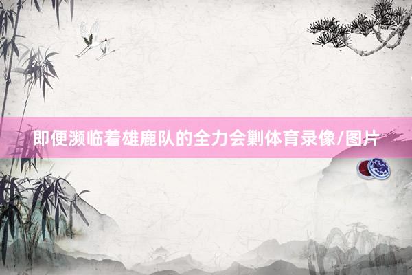即便濒临着雄鹿队的全力会剿体育录像/图片