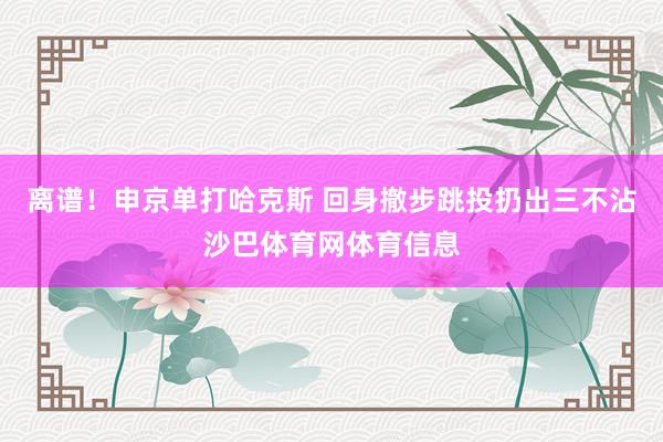 离谱！申京单打哈克斯 回身撤步跳投扔出三不沾沙巴体育网体育信息