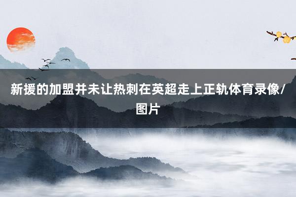 新援的加盟并未让热刺在英超走上正轨体育录像/图片