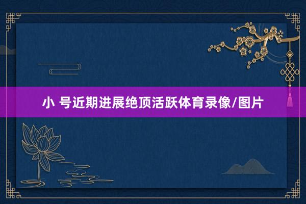 小 号近期进展绝顶活跃体育录像/图片
