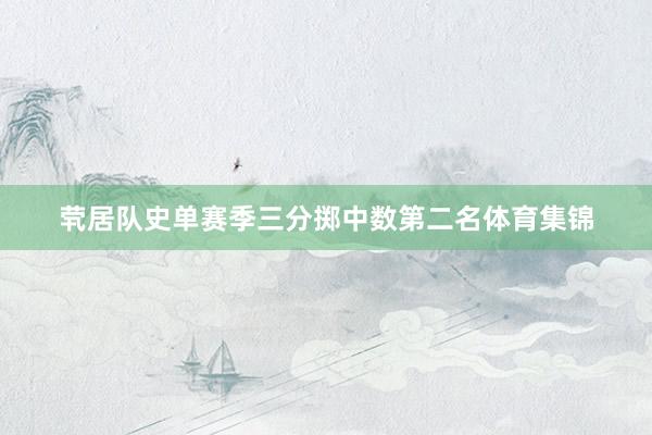 茕居队史单赛季三分掷中数第二名体育集锦