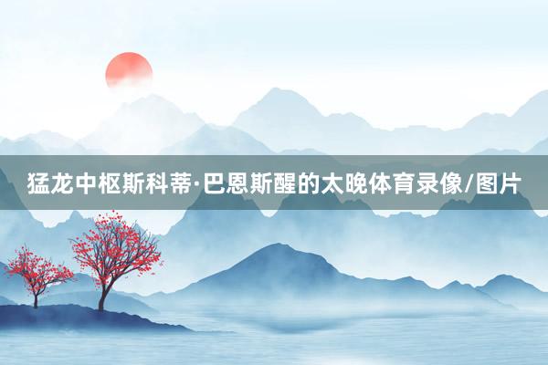 猛龙中枢斯科蒂·巴恩斯醒的太晚体育录像/图片
