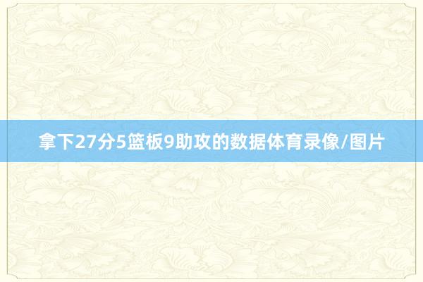拿下27分5篮板9助攻的数据体育录像/图片