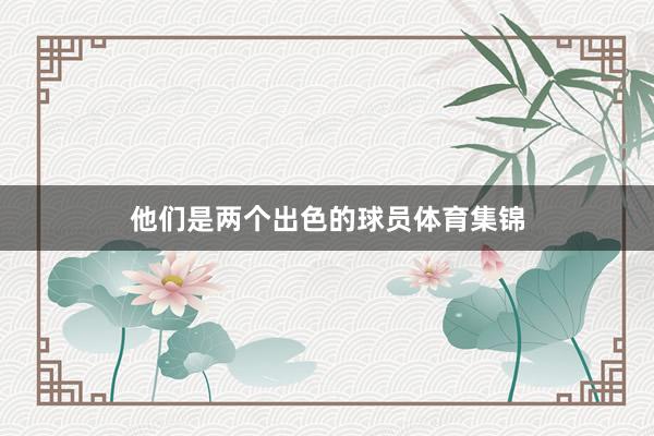他们是两个出色的球员体育集锦