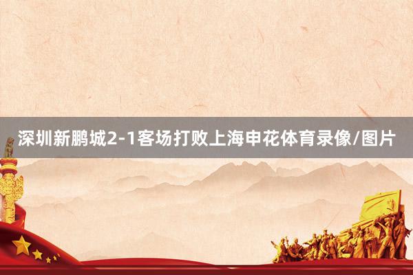 深圳新鹏城2-1客场打败上海申花体育录像/图片