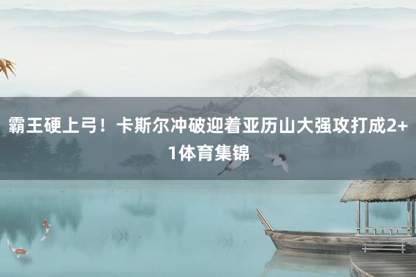 霸王硬上弓！卡斯尔冲破迎着亚历山大强攻打成2+1体育集锦