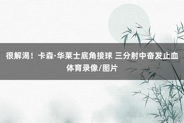 很解渴！卡森·华莱士底角接球 三分射中奋发止血体育录像/图片