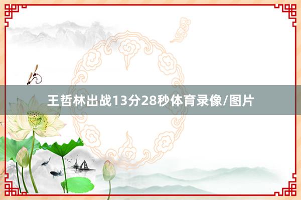 王哲林出战13分28秒体育录像/图片