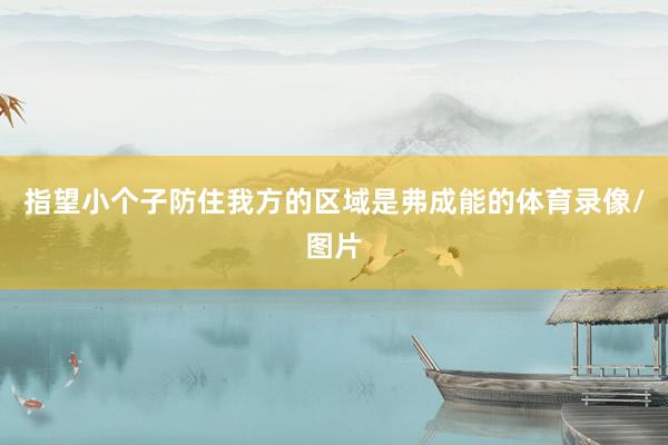 指望小个子防住我方的区域是弗成能的体育录像/图片