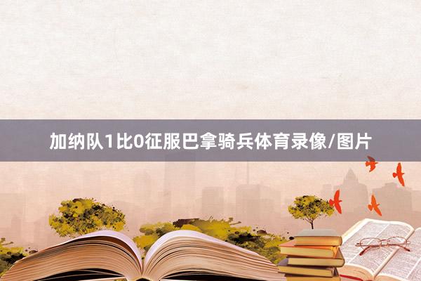 加纳队1比0征服巴拿骑兵体育录像/图片